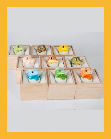 木製展示禮盒